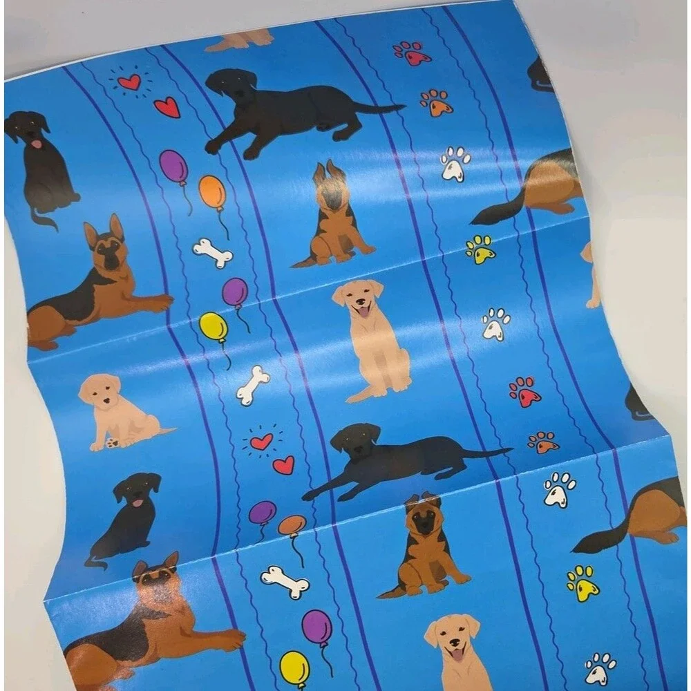 Guiding Eyes here we
